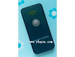 河南濮阳厂家直销 单键防盗报警器遥控器，守护您的安全与便捷